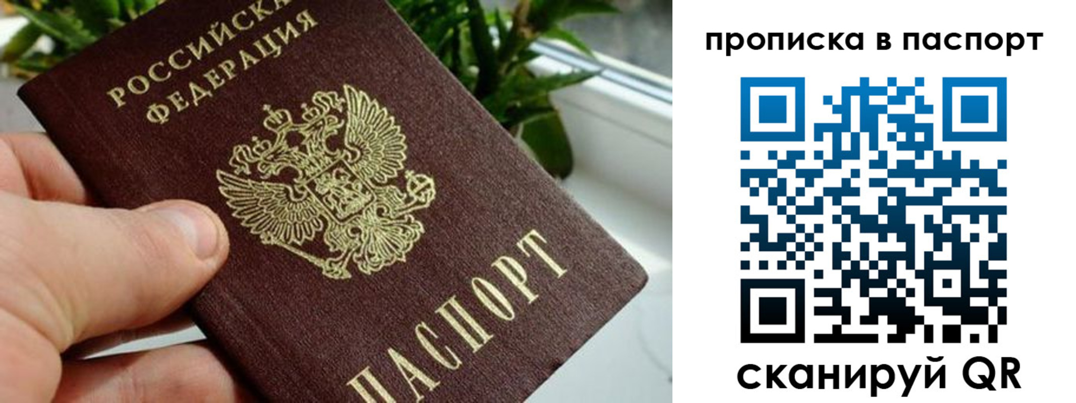пропишу в квартире в Рыльске
